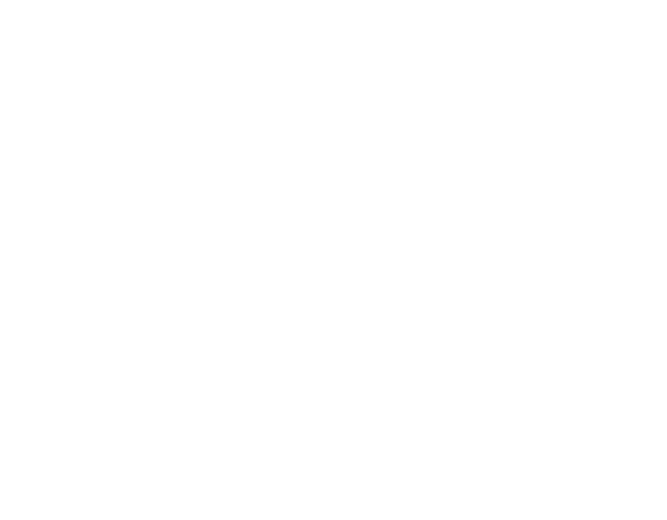 SG-Tresore